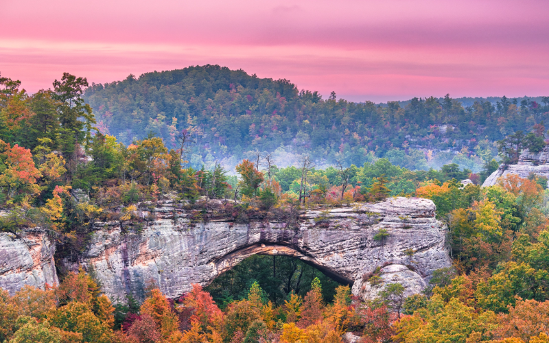 daniel boone 800x500