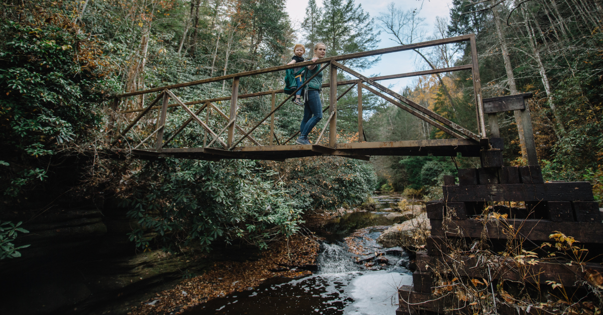 Hiking in Daniel Boone National Forest