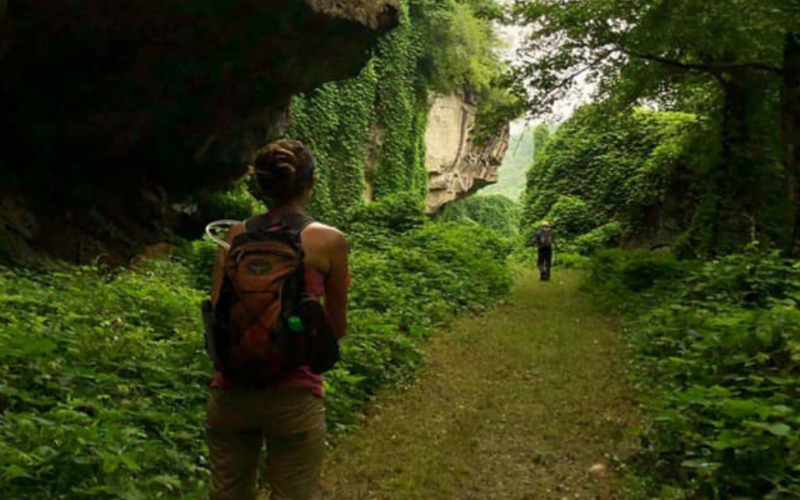 Laurel Fork (1)